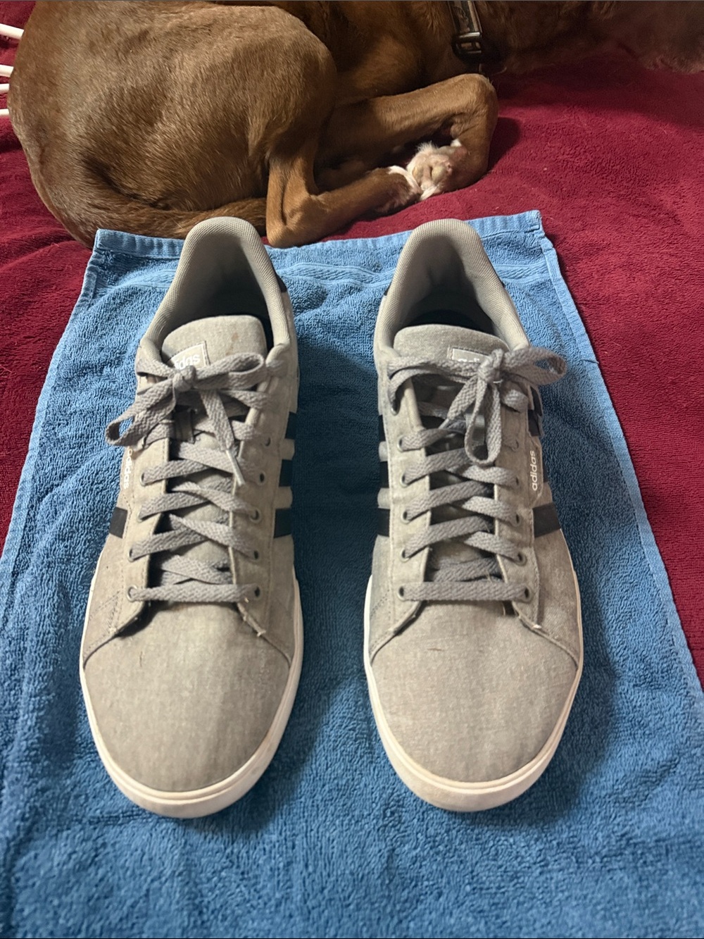 adidas Gray Suede Low-Top Sneakers